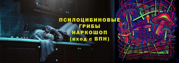 кокс Дмитров