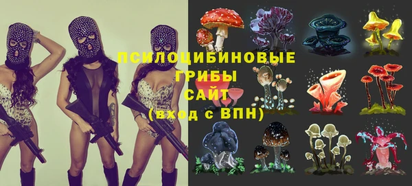 2c-b Дмитровск