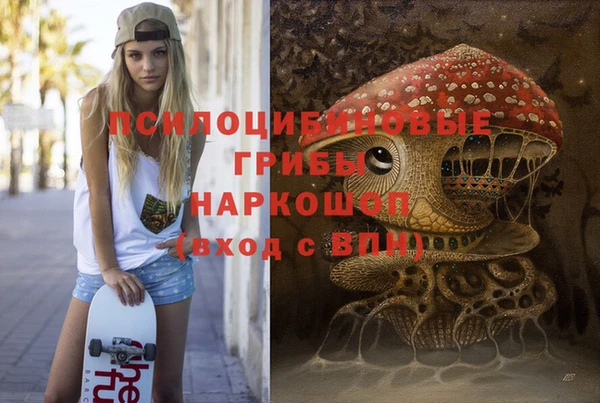 кокс Дмитров