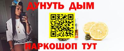 сатива Малгобек