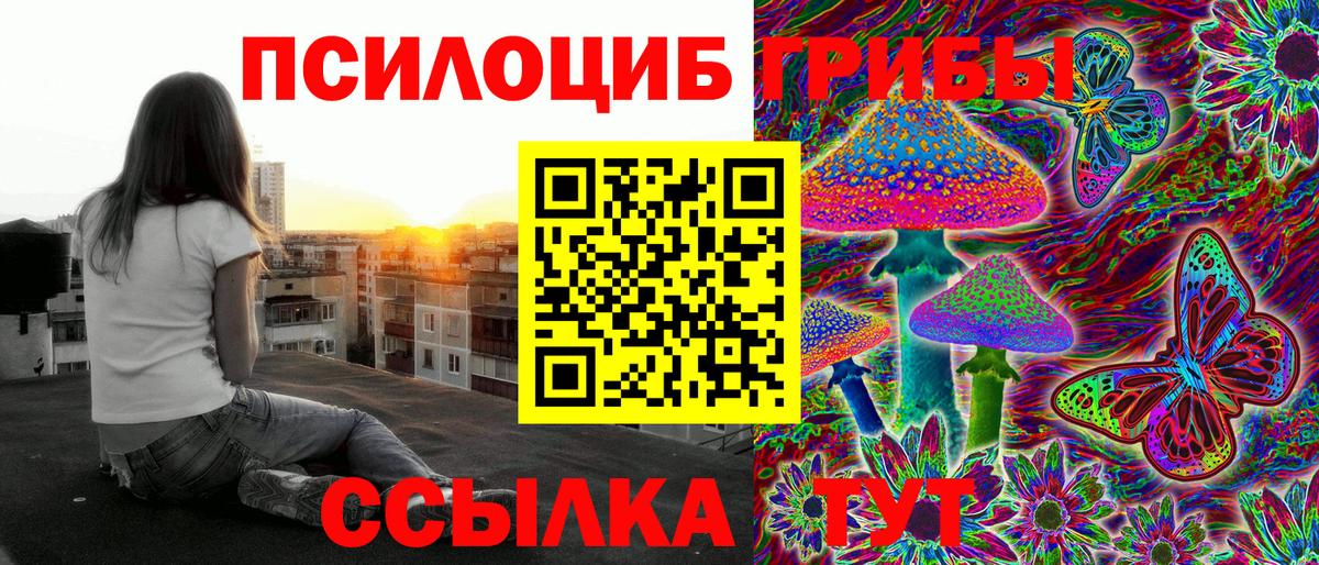 Псилоцибиновые грибы Psilocybe Георгиевск