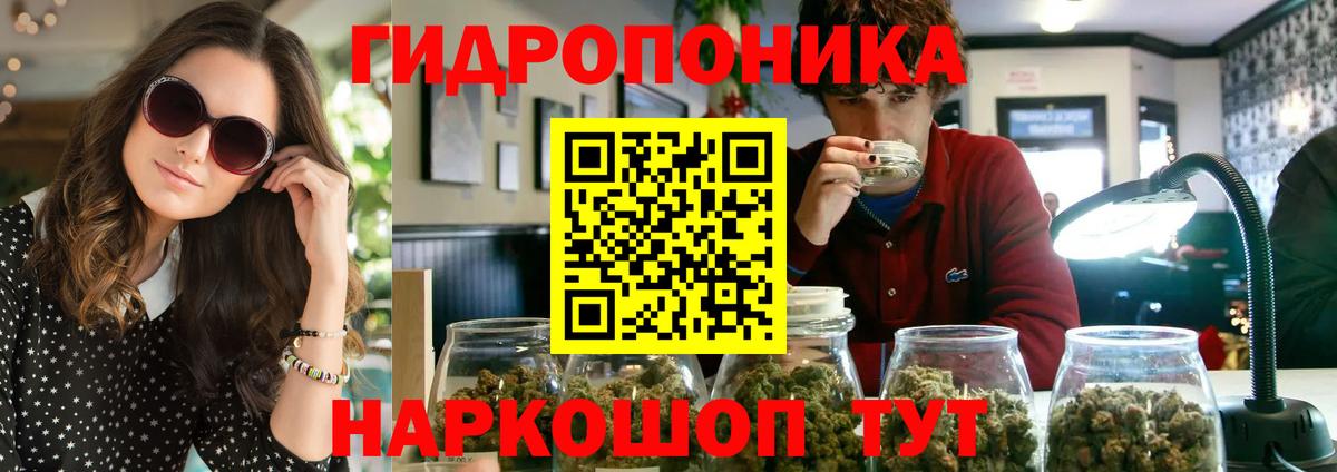 Канабис Bruce Banner Георгиевск